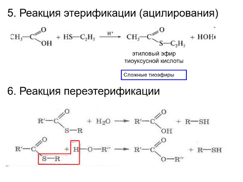 5. Реакция этерификации (ацилирования) Сложные тиоэфиры  этиловый эфир тиоуксусной кислоты 6. Реакция переэтерификации
